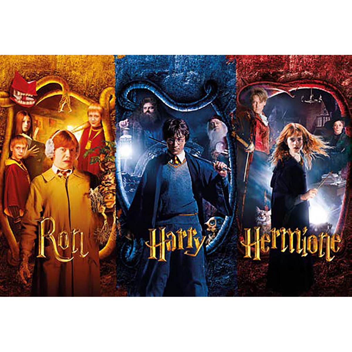 Harry Potter - Puzzel 50-delig - Kamer van Geheimen