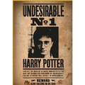 Harry Potter - Puzzel 50-delig - Gezocht No1 Harry Potter