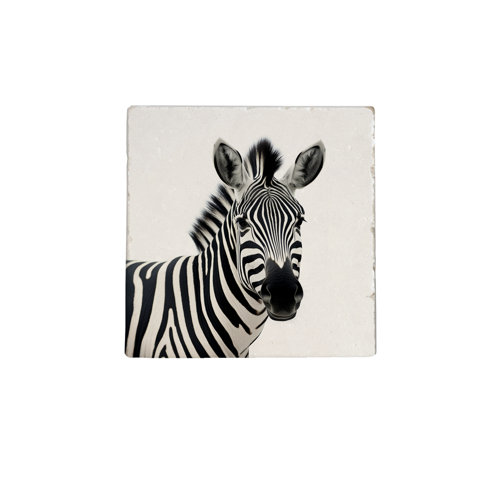 Zebra - natural stone tile